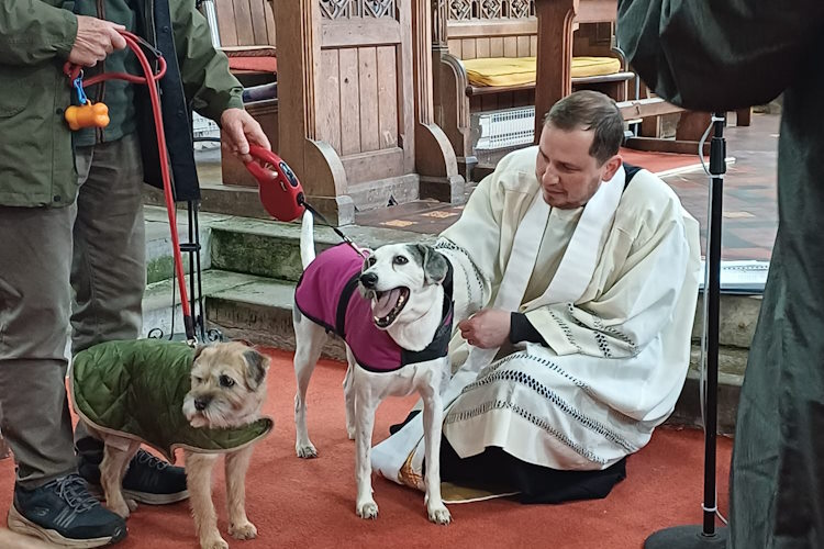 Horning church welcomes pets for service