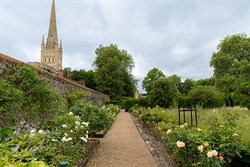Bishop-of-Norwich's-Garden.-Pi