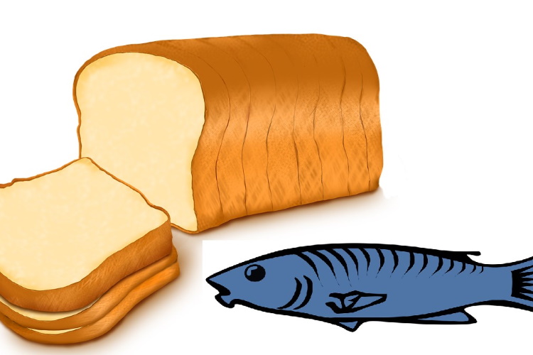 bread anf fish 750